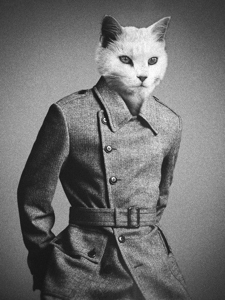 Карл Притыка | Мариуполь