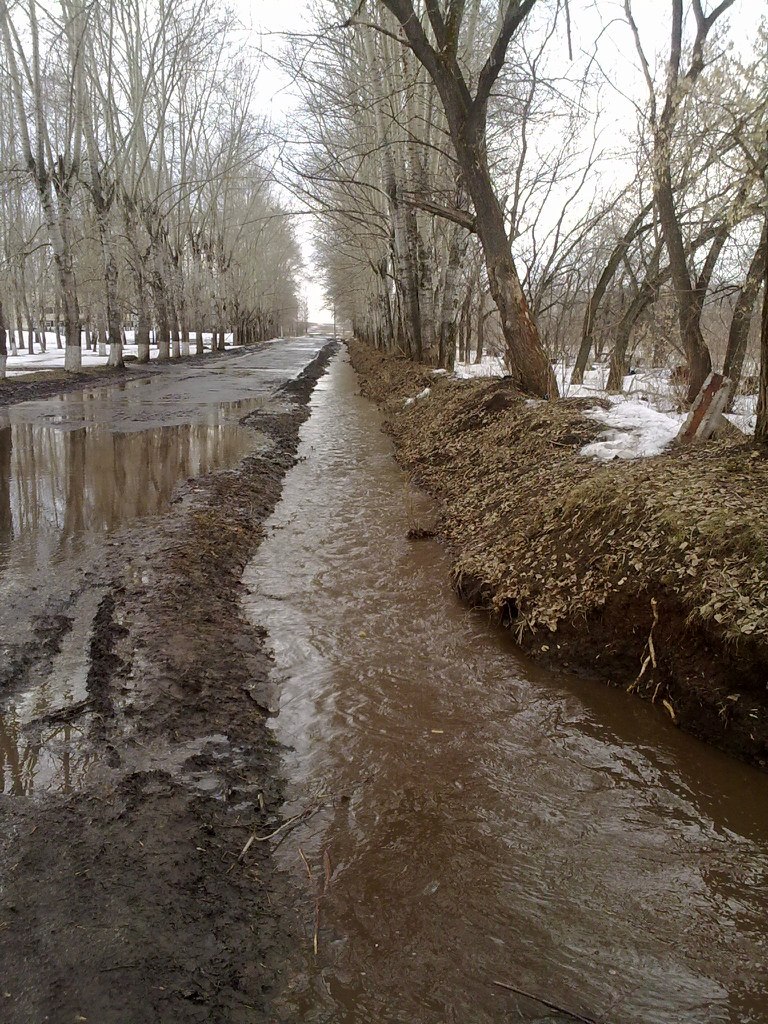 Владислав Лымаренко Тратата | Пермь