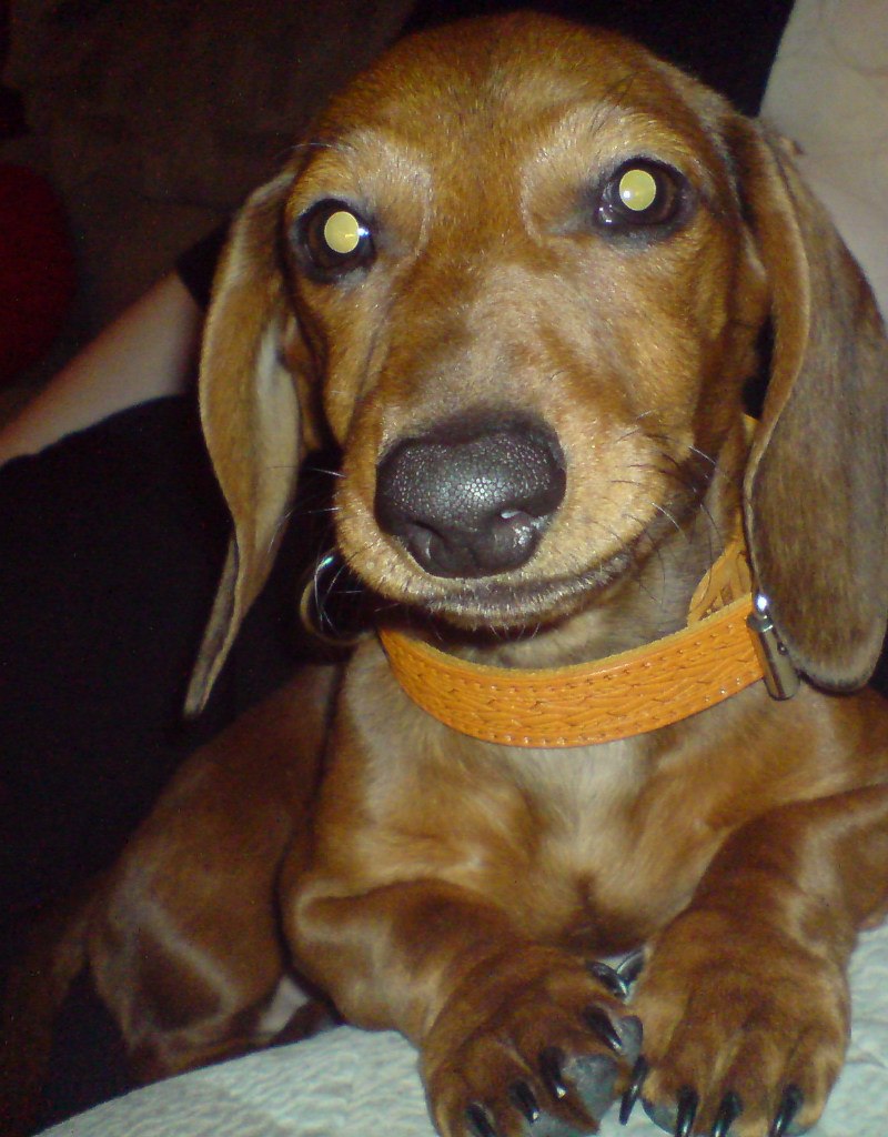 Кристина Аврорская | Новосибирск