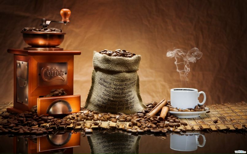 Светлана Исаева | Москва