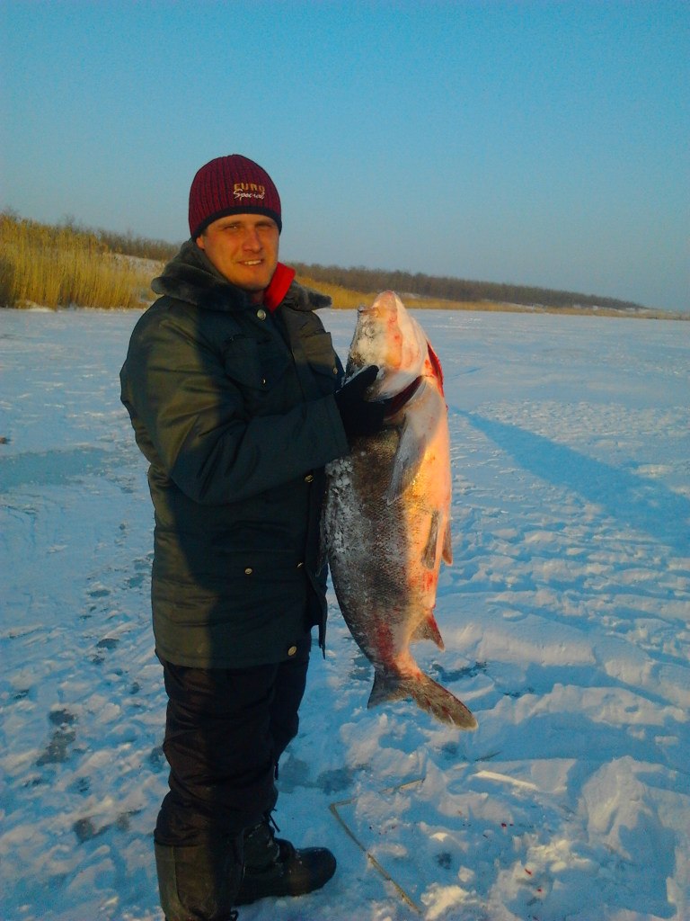 Владимир Машкин | Ростов-на-Дону