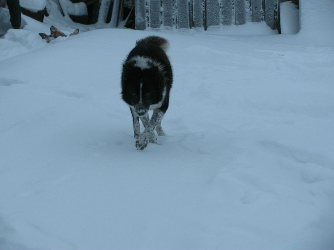 Артем Тарасенко | Северодвинск