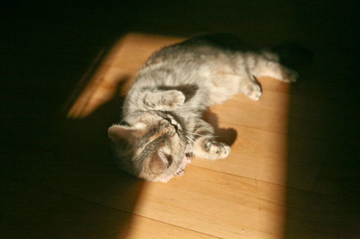 Юлия Ходыкина | Омск