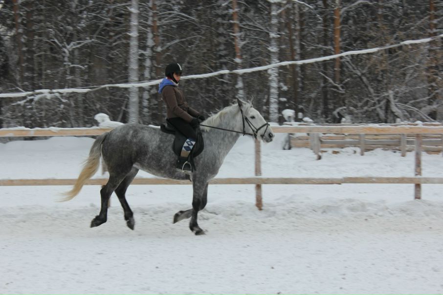 №2, Анастасия Заболотная, 1.4 №2, Анастасия Заболотная, 1.4