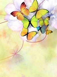 №96, Юля Каденкова, Смоленск №96, Юля Каденкова, Смоленск