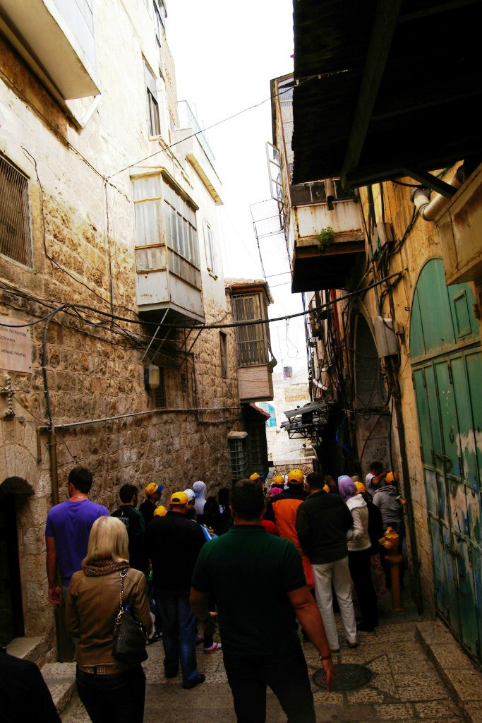 Юлия Прима | 