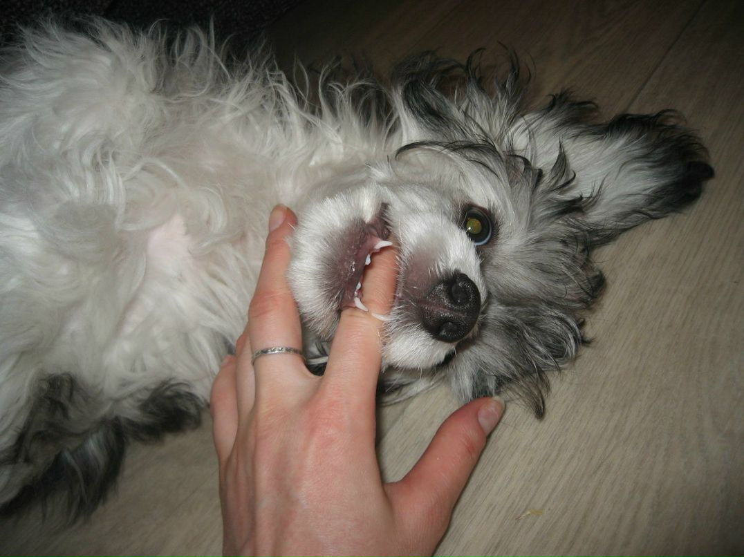 Юрий Поляков | Томск