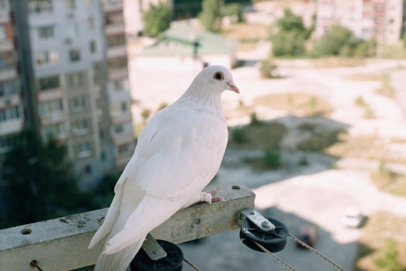 Екатерина Ушакова | Киев