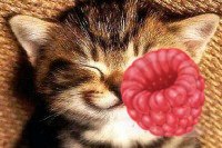 Андрей Инюшев | Новокузнецк