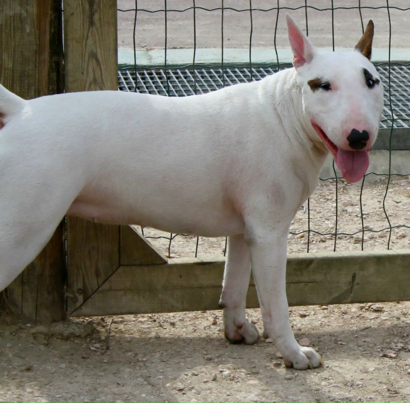 Артем Енот ...[c1rca]✖ | San Donato Milanese