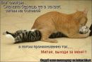 №9 Анна Гриц : профиль, фото, статус - ВКонтакте