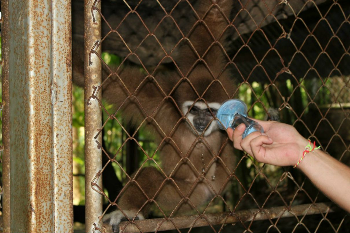 Анна Шугаева | Санкт-Петербург