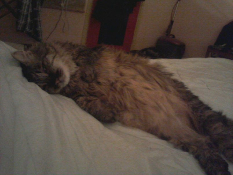 №40, Анастасия Сухарева, 42 года, Норильск №40, Анастасия Сухарева, 42 года, Норильск