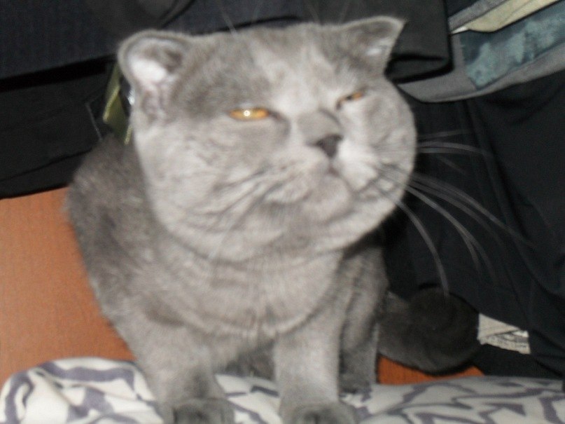 Борис Швецов | Москва