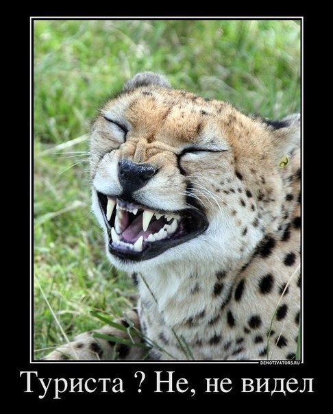 Галина Мидляр(Лоба) | Винница