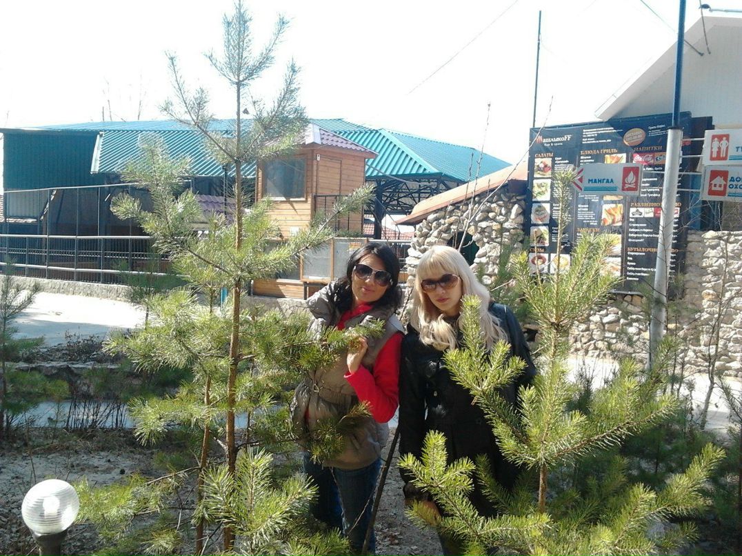 Яна Жамойда | Новосибирск