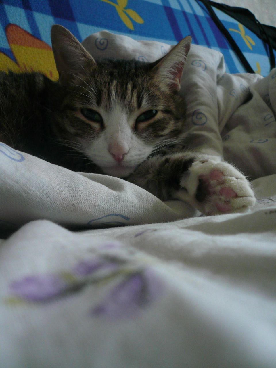 Дашулька Фискина (((= FuNnY =))) | Москва