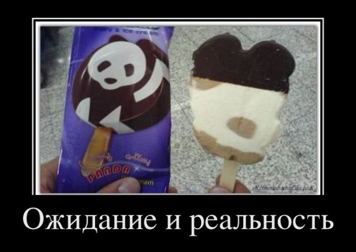 Алексей Останин | Новосибирск