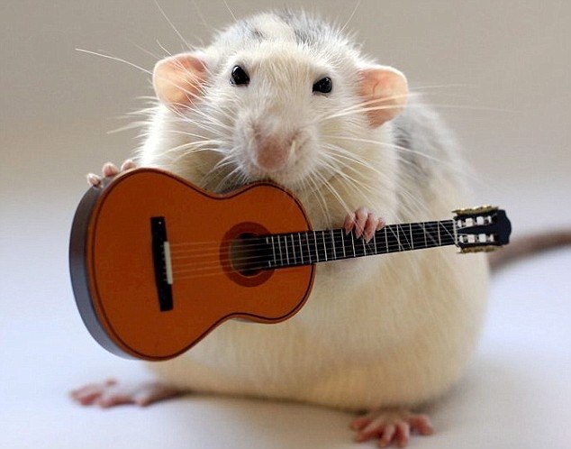 Тимур Хопёрский | Мурманск