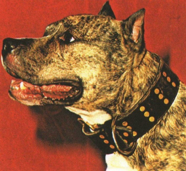 Владимир Петров <<ZM€¥>> | Санкт-Петербург