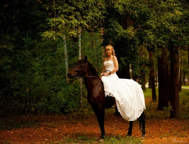 №96, Юля Куц, 39 лет, Новосибирск №96, Юля Куц, 39 лет, Новосибирск