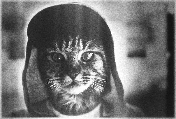 Родион Антон | Москва