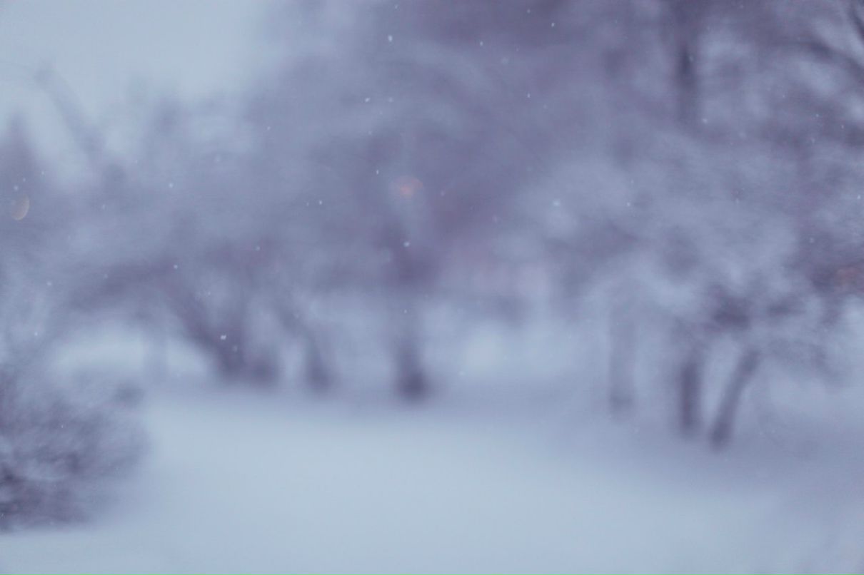 Инна Макеенко | Москва