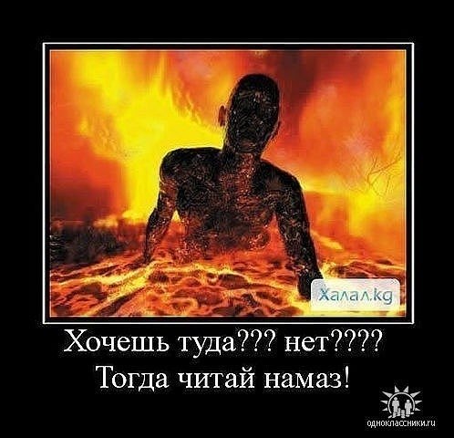 Али Халиков | 