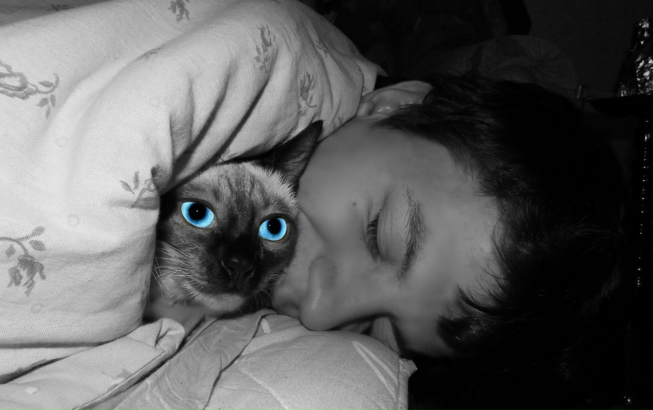 Андрей Сиротенко Армен | Севастополь