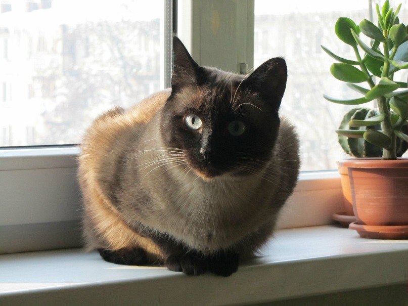 Баур Ермекбаев | Алматы