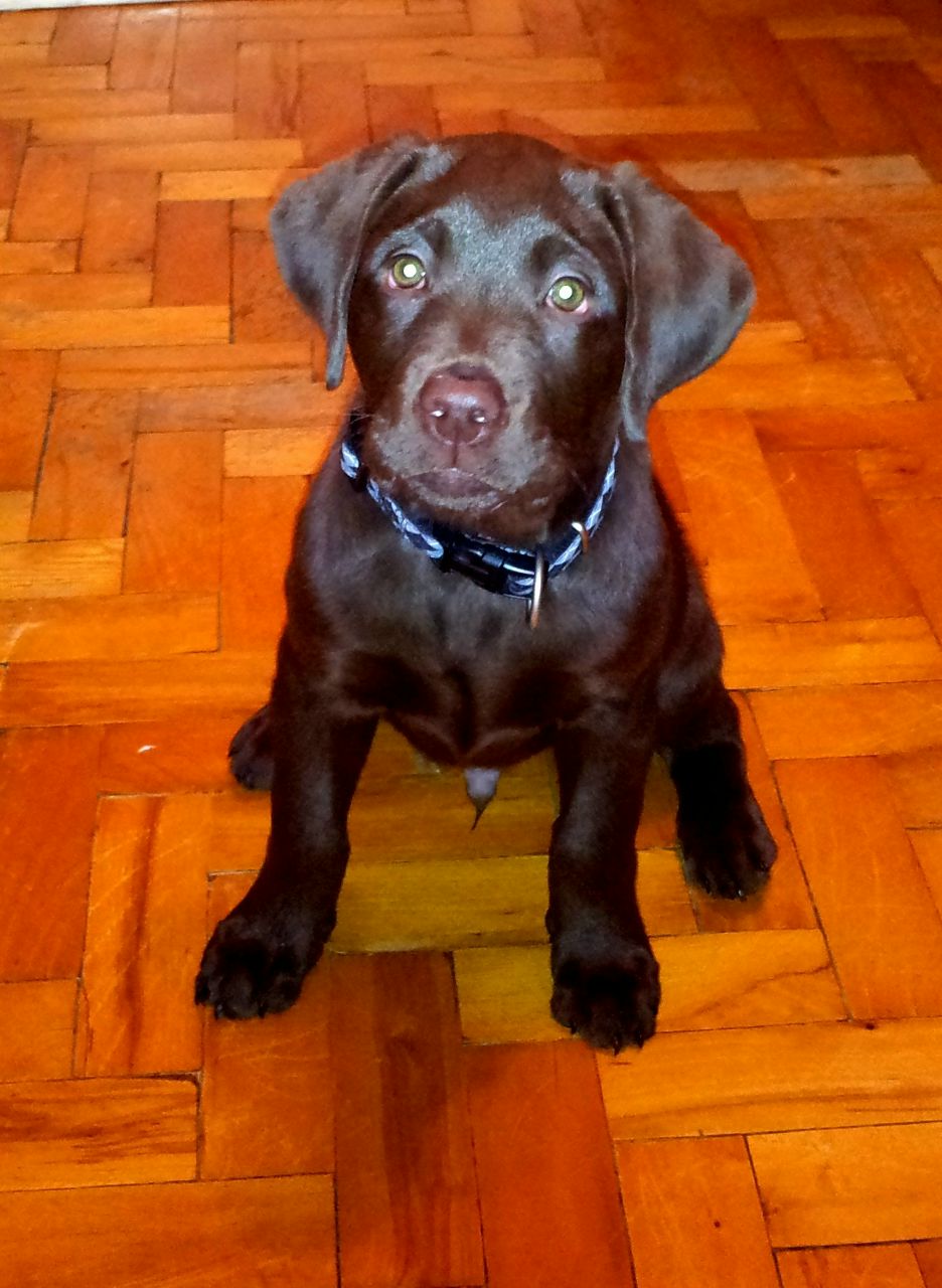 Дарья Исакова | Киев