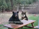 Фотография Медведь Похабычь