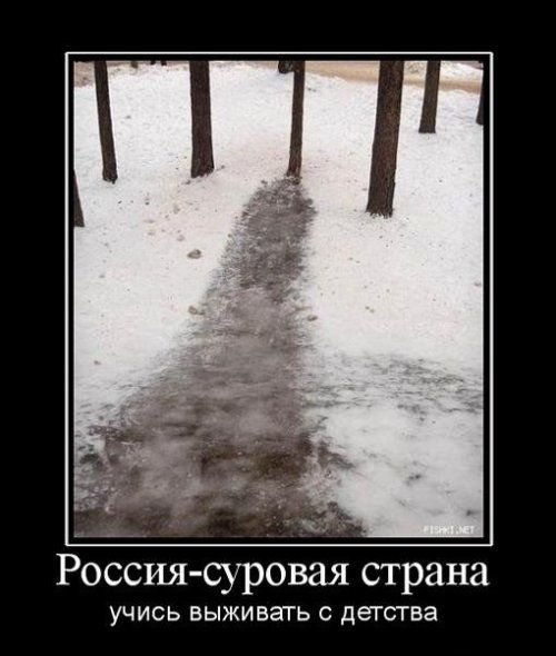 Антон Антипов | Санкт-Петербург