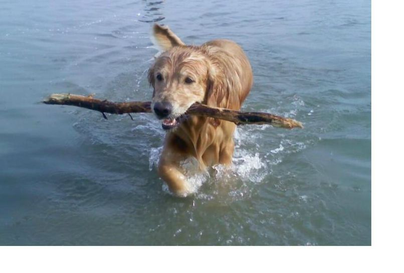 Елен Ивановская | Ростов-на-Дону