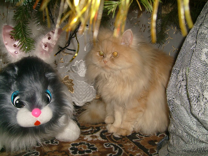 Татьяна Арефьева | Златоуст