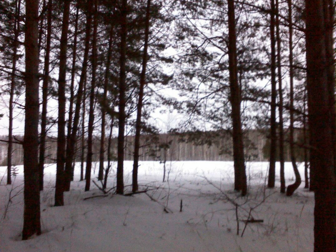 Владимир Соменков | Нижний Новгород