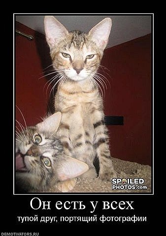 №119, Маргарита Шныр, Киев №119, Маргарита Шныр, Киев