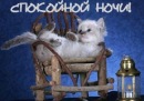 №25 Артем Плясецкий