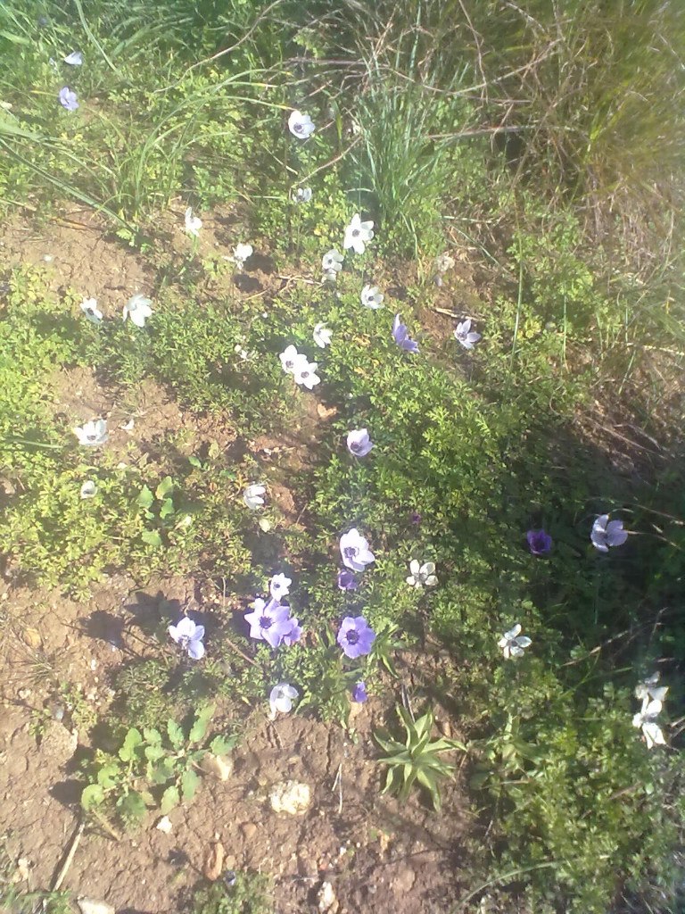 Мария Зажигалкина | Санкт-Петербург