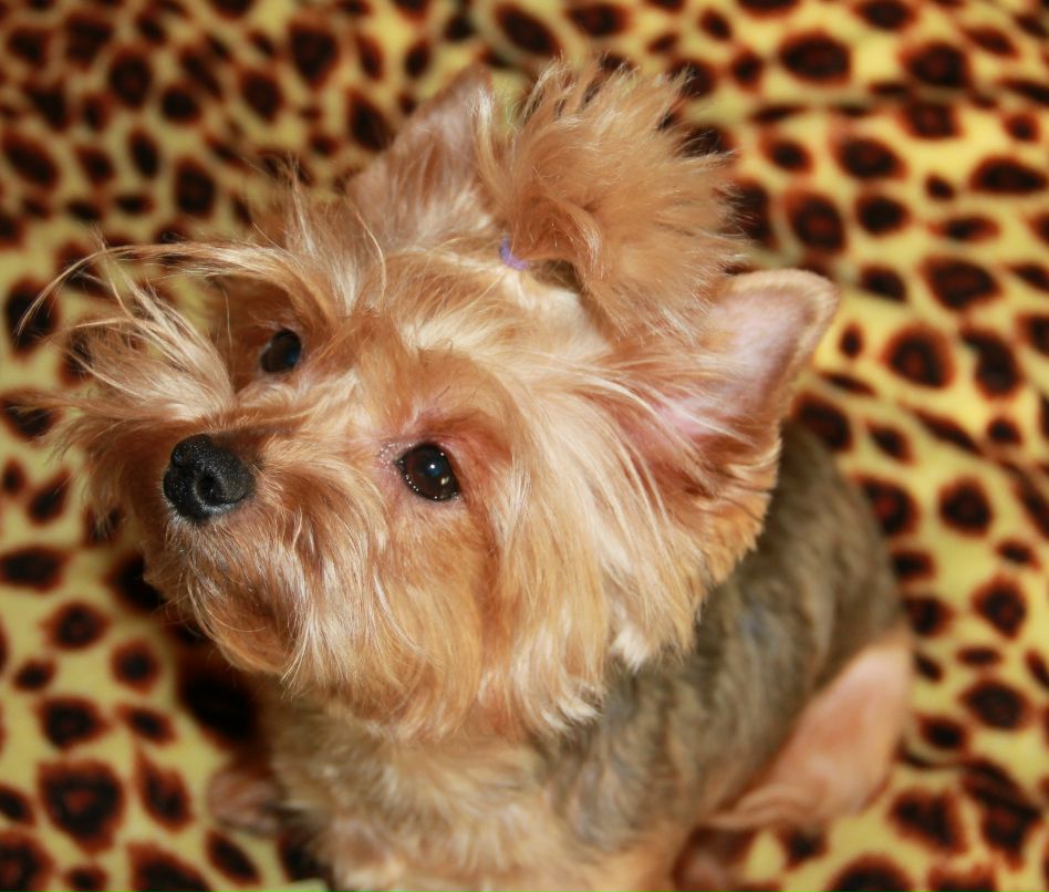 Юлия Донина | Санкт-Петербург