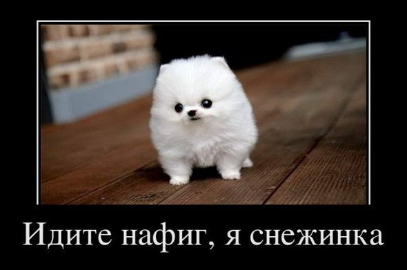 Яна Соколова | Санкт-Петербург