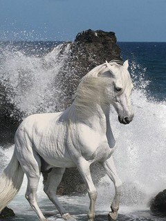 Макс Довженко | Кременчуг