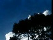 Іван Трейтяк | Куликовка