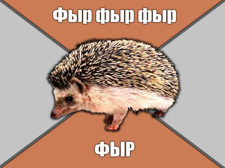 Вася Романович | Черновцы