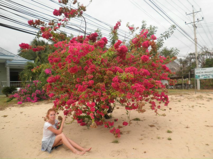 Анастасия Родионова | Владивосток