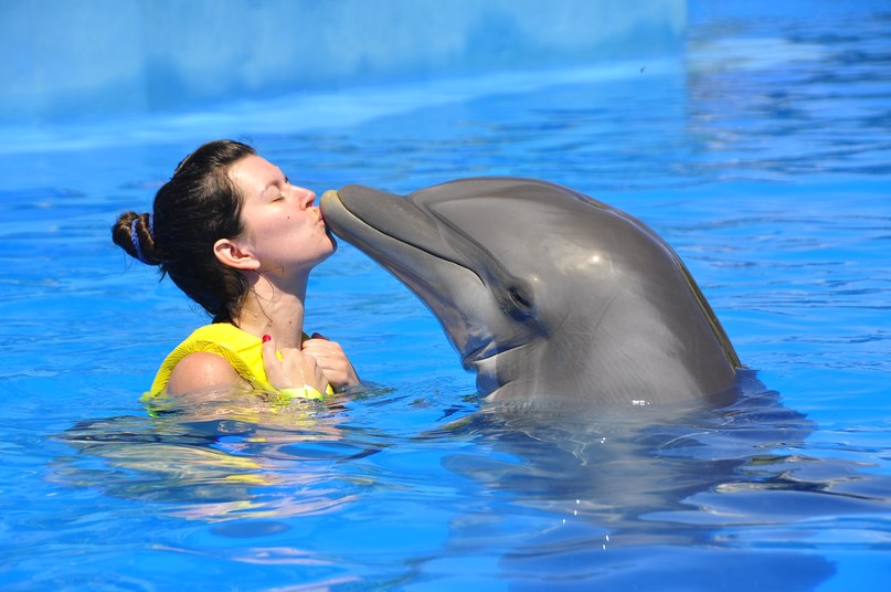 Алінка Кукобко *ОЧІ ДІВОЧІ* | Toronto