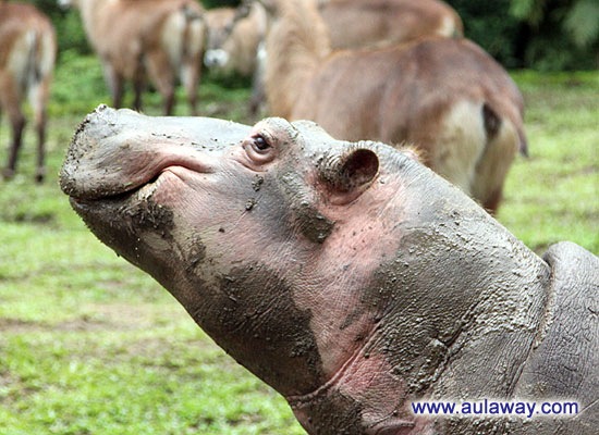 №18, Katerina Glavinskaya, 40 лет, Guangzhou №18, Katerina Glavinskaya, 40 лет, Guangzhou