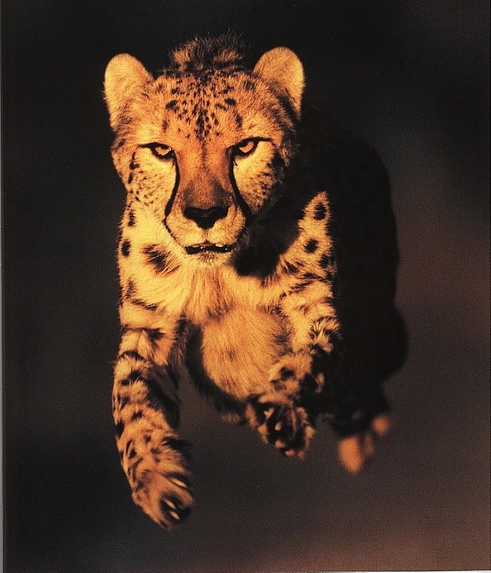 Альбина Салун | Бугульма