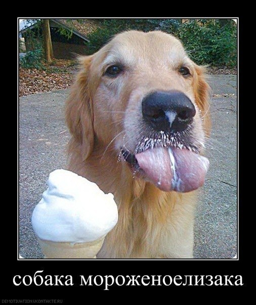 Юля Капелюшок | Киев