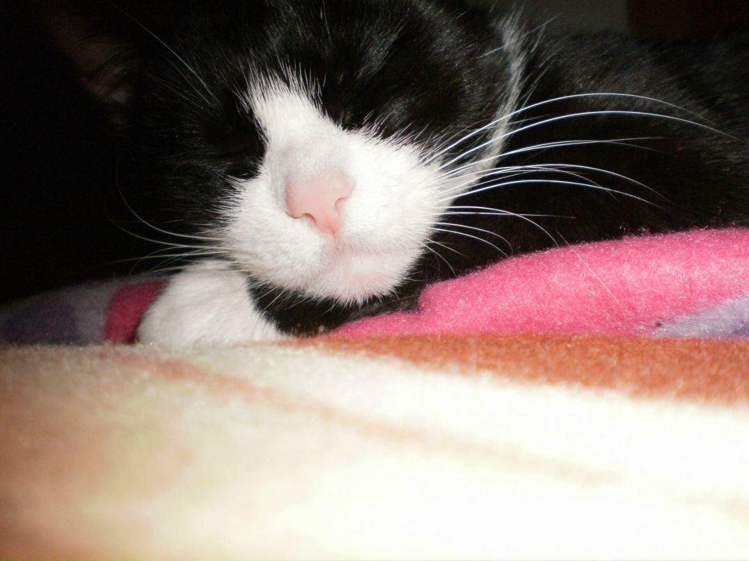 Оксана Семёнова [Аза] | 